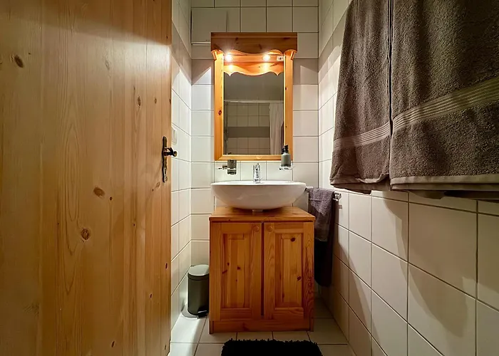 Apartament Cosy In Out In Haute Pracondu - Draps Serviettes Et Nettoyage Inclus Nendaz